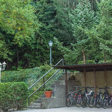 Tannenhof アパート バーデンヴァイラー