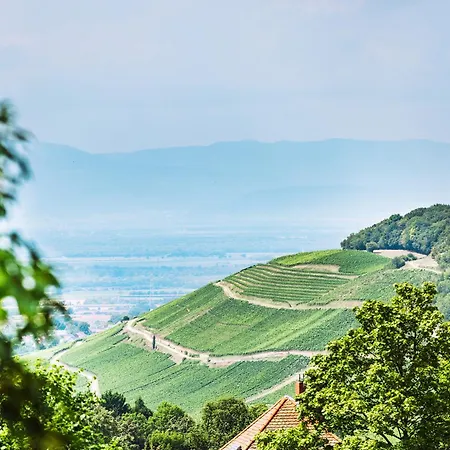Tannenhof 3*