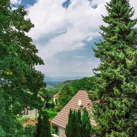 Am Tannenweg * Badenweiler