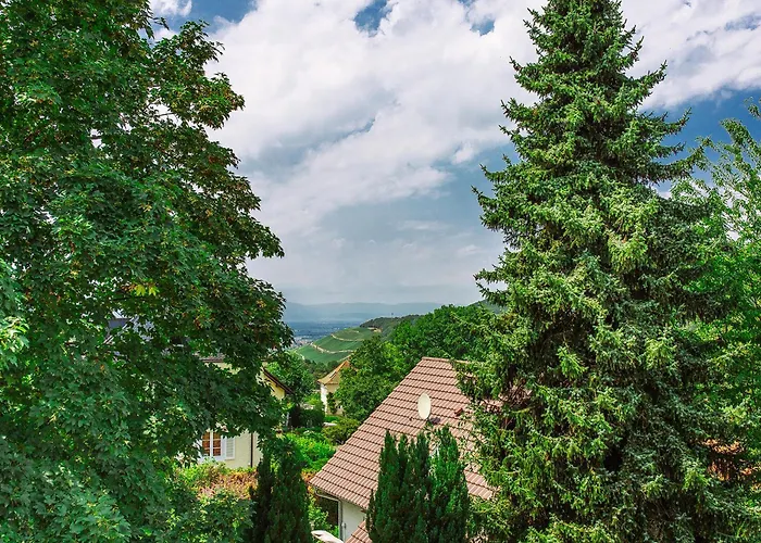 Am Tannenweg * بادنويلر